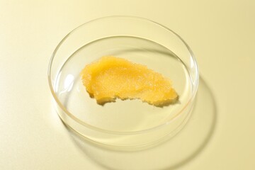 Cosmetic product in Petri dish on pale yellow background, above view
