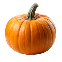 Obraz premium pumpkin isolated on white background