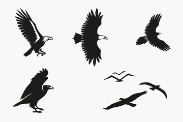 Obraz premium set of eagle