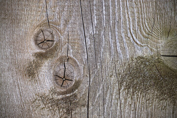 Detailed image of textured weathered wood showing knots and cracks in a close-up view.