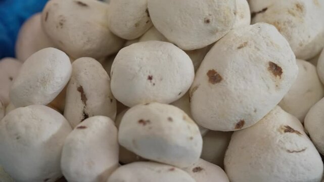 A pile of freeze dried potatoes in a basket
