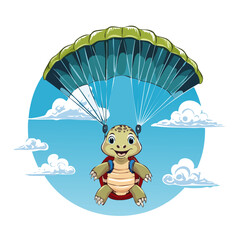 tortue parapente 6