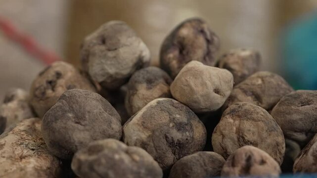 A pile of harvested potatoes