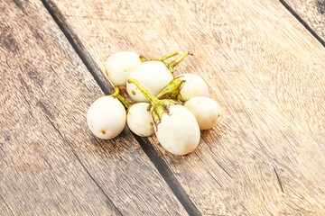 Natural organic white round eggplant