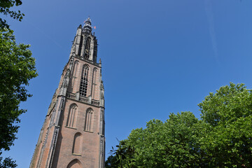 The imposing Onze Lieve Vrouwetoren of Amersfoort pierces a pristine blue sky, with lush green trees framing its ancient brick structure.