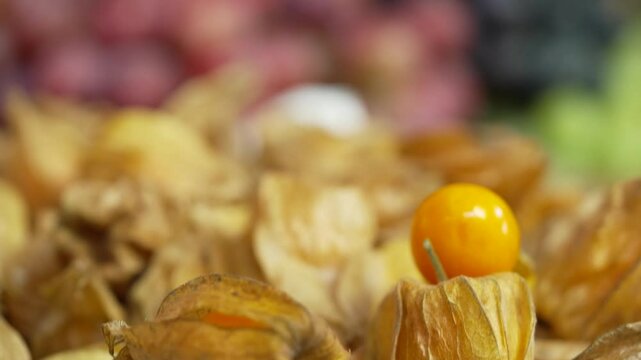 Close-up of ripe physalis with husks