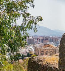 Malaga, Hiszpania, Spain, krajobrazy, wycieczka, Morze Śródziemne