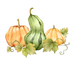 Hand-drawn Pumpkin and Squash Trio Illustration with Autumn Leaves in Warm Tones