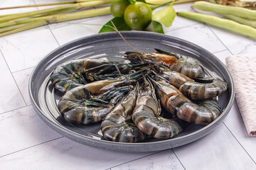 Raw wild frsh Tiger prawn
