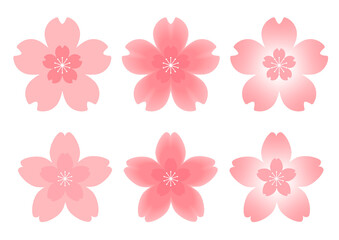 Spring cherry blossom illustration