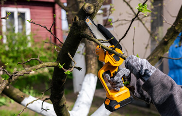 A gardener trims tree branches with a lithium battery-powered hand-held chainsaw. A hand holds a...