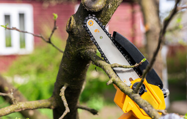 A gardener trims tree branches with a lithium battery-powered hand-held chainsaw. A hand holds a...
