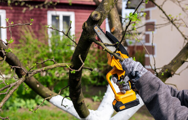 A gardener trims tree branches with a lithium battery-powered hand-held chainsaw. A hand holds a...