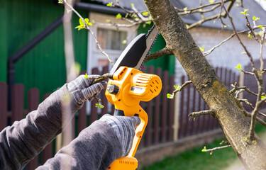 A gardener trims tree branches with a lithium battery-powered hand-held chainsaw. A hand holds a...