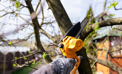 A gardener trims tree branches with a lithium battery-powered hand-held chainsaw. A hand holds a...