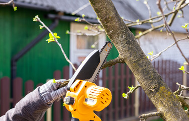 A gardener trims tree branches with a lithium battery-powered hand-held chainsaw. A hand holds a...