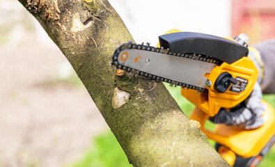 Cordless chain saw. Hand holding mini cordless chainsaw. Gardener trees with light cordless...