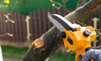 Cordless chain saw. Hand holding mini cordless chainsaw. Gardener trees with light cordless...