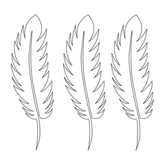 Fototapeta premium Bird feather continuous single one line hand drawn to outline vector art illustration