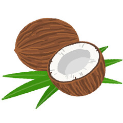 ココナッツのイラスト