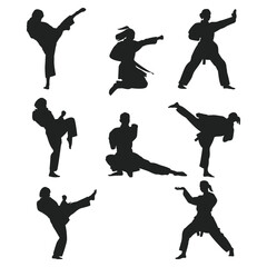 karate silhouette