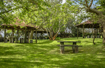 An open-air park with numerous trees, in a unique natural setting, with small areas where you can...