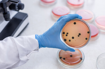 A scientist holding a petri dish in the lab with microscope in background. Science Research In A...