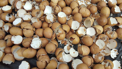 Eggshells: A close-up shot reveals a collection of eggshells scattered across a dark surface,...