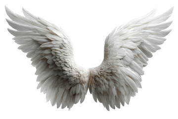Fototapeta premium Pair of white angel wings with soft feathers, open symmetrical shape, isolated on a Transparent background, PNG file.