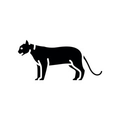 cougar black flat icon for digital and print projects. North american animals.
