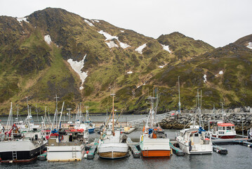 Fishing Village on the Fjord