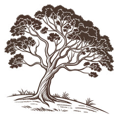 Rustic sycamore tree vector icon, distinctive bark, perfect for natural and forest themed designs, outdoor adventures