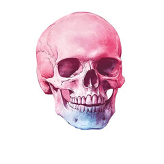 Obraz premium skull illustration png transparent background