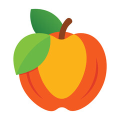vector illustration of an orange fruit