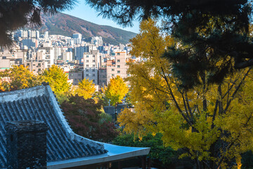 풍경