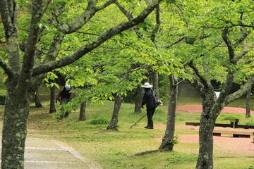 新緑の公園を管理する人