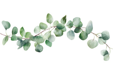 Obraz premium Captivating watercolor border frame featuring lush eucalyptus leaves designed for a variety of creative projects and invitations
