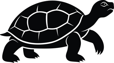 A detailed black turtle silhouette isolated on white background, a serene nature illustration
