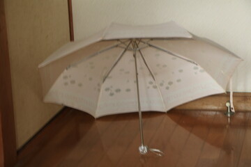 室内で傘の陰干し