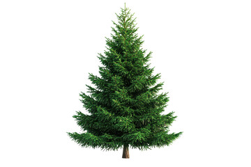 Obraz premium Beautiful green Christmas tree isolated on a white background, perfect for holiday decoration and seasonal celebrations, bringing festive cheer to homes and gatherings