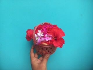 All kinds of red flowers in plastic basket in blue background.Handheld plastic basket containing...
