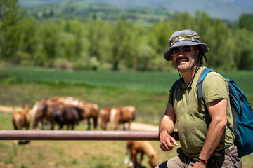 Caucasian hiker with backpack and hat enjoying mountain landscape with horses grazing in the background