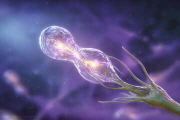 Microscopic view of a single-celled organism