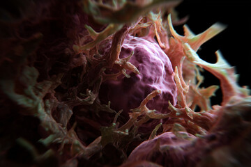 Microscopic View of Cancer Cells