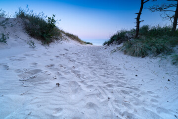 Entrance to the beach between the dunes at sunrise.