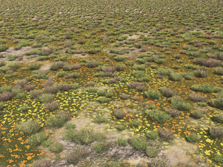 Flache Steppenlandschaft