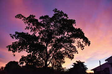 clouds tinted brilliant hues of orange and pink by setting sun. Orange fluffy clouds and sun sunlight reflection in the blue sky.
