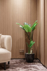 A lush Monstera Deliciosa plant in a pot adding a touch of green to a modern living room corner....