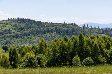 Mountain landscape. Eastern Sudetes Mountains on the border of Poland and the Czech Republic