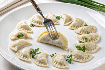 shows a plate of dumplings garnished with parsley, with one dumpling being held by a fork in the center.